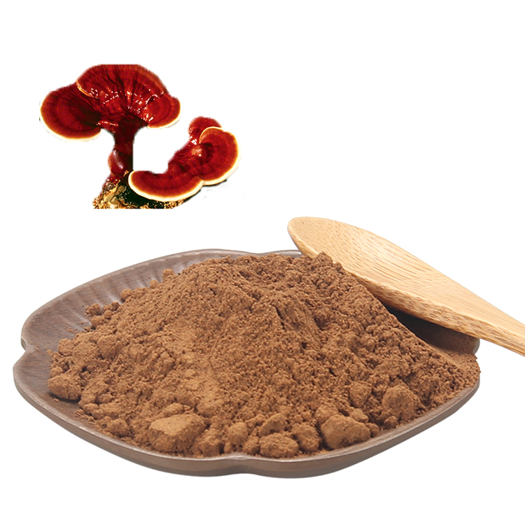 How to Take Reishi Powder for Sleep and Anxiety